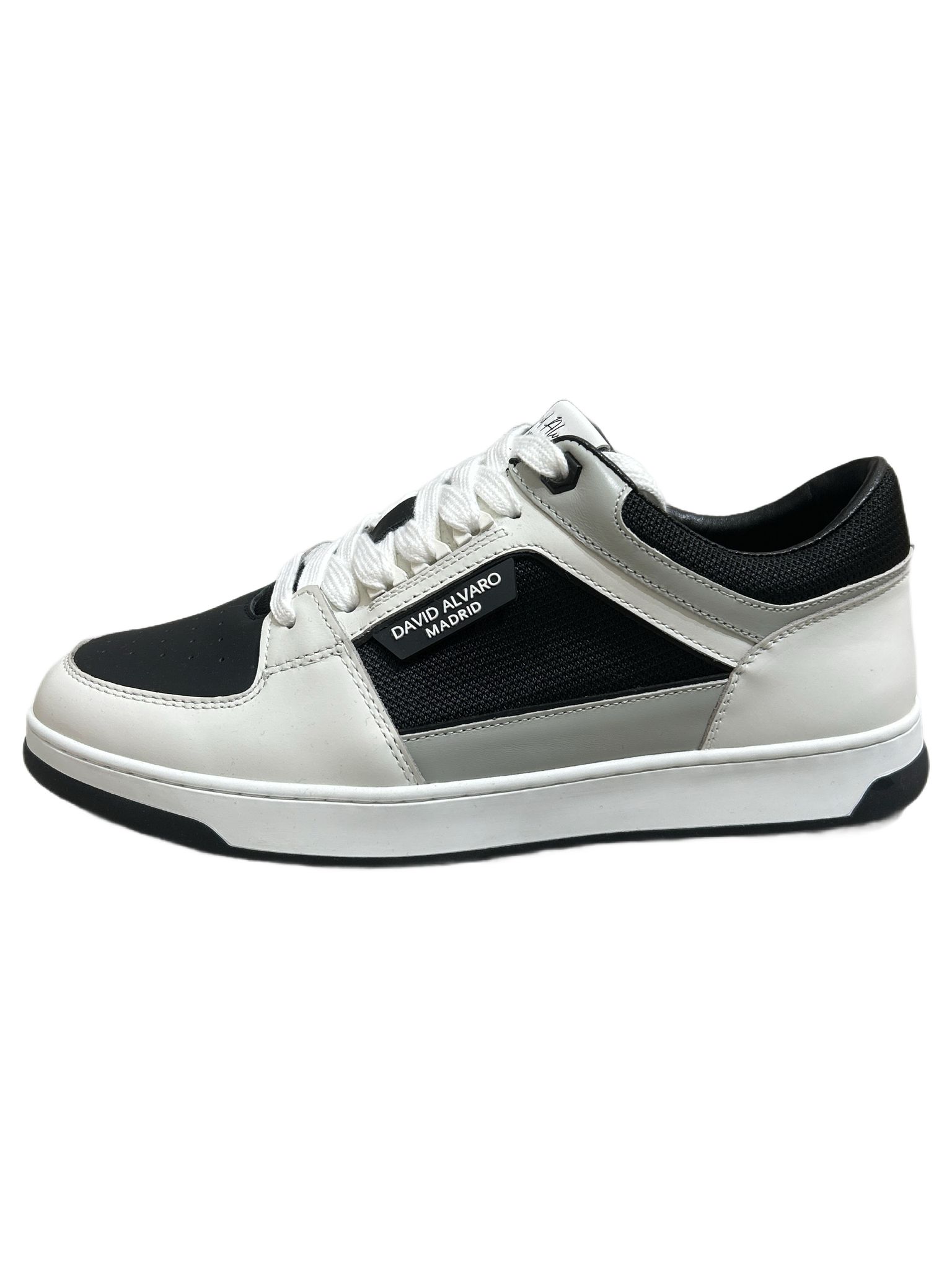 DAVID ALVARO DAVID ALVARO