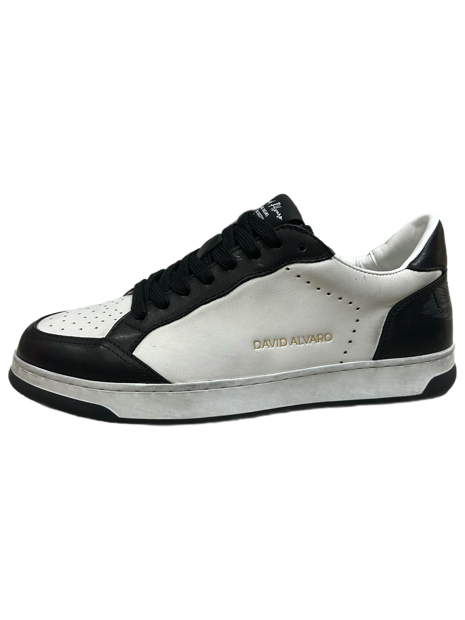 DAVID ALVARO DAVID ALVARO